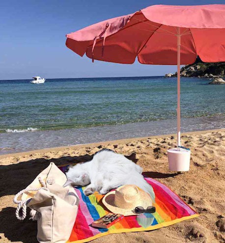 Louise, un chat blanc, est allongée sur une serviette de plage, au bord de la mer sous un parasol. 
